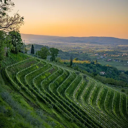 Apartament Centro Storico - Luxury Design And Comfort *